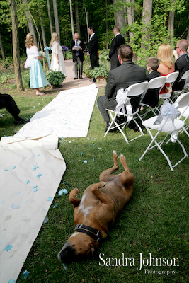 Best Annapolis Wedding Photos - Sandra Johnson (SJFoto.com)